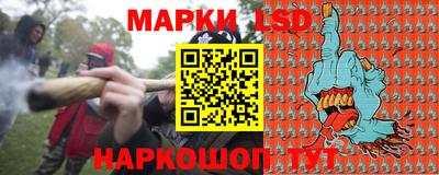 индика Боровичи