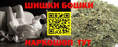 индика Боровичи