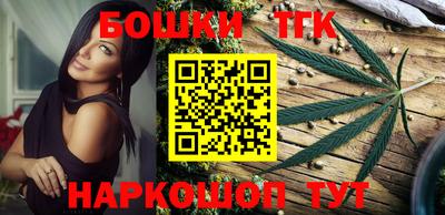 индика Боровичи