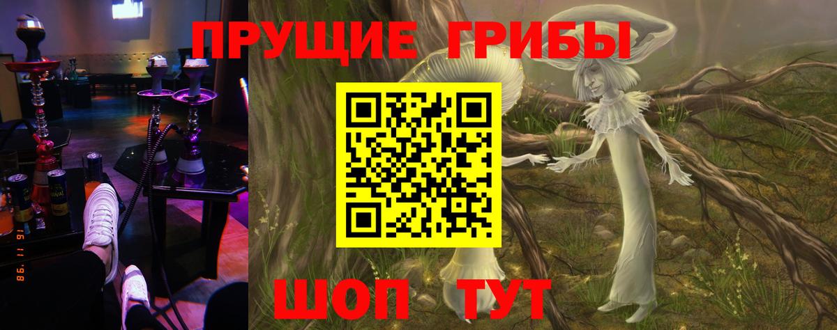 Галлюциногенные грибы мухоморы  Галлюциногенные грибы Psilocybine cubensis  Вход с VPN  Новороссийск 
